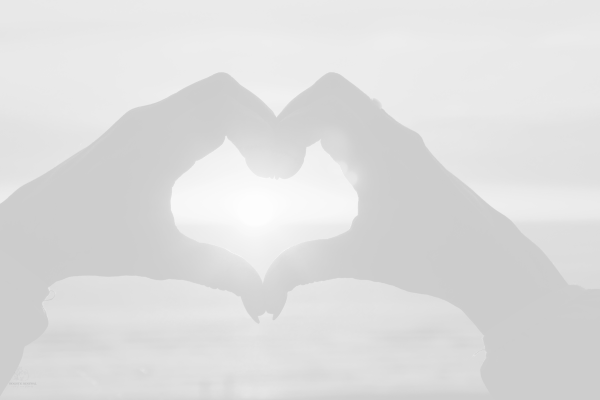 Love and choice in relationships