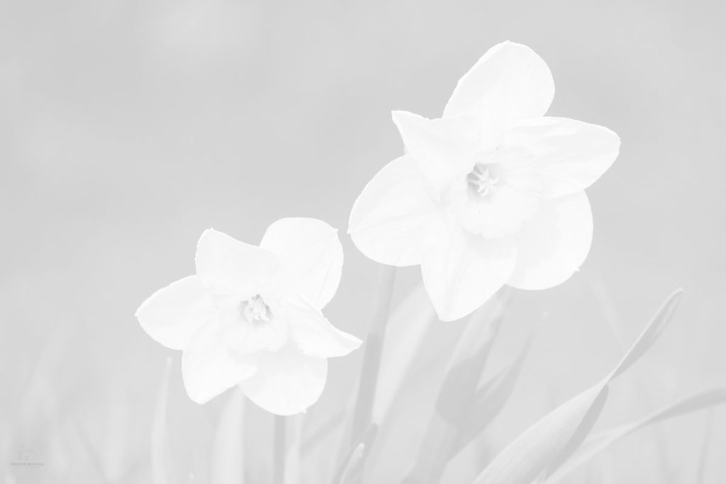 Spring Growth and Healing: Why Personal Growth Takes Time