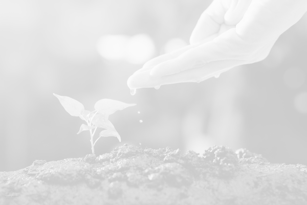 Self nurture